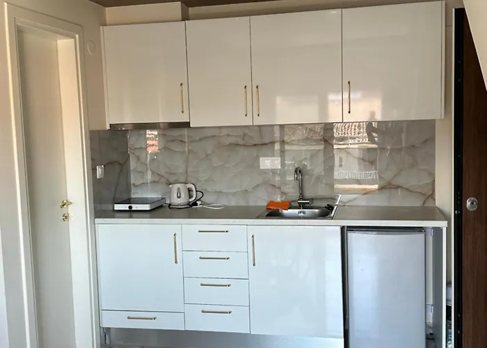 公寓 Paralia Rooms